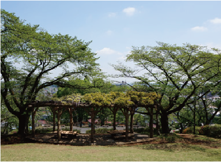 大塚山公園