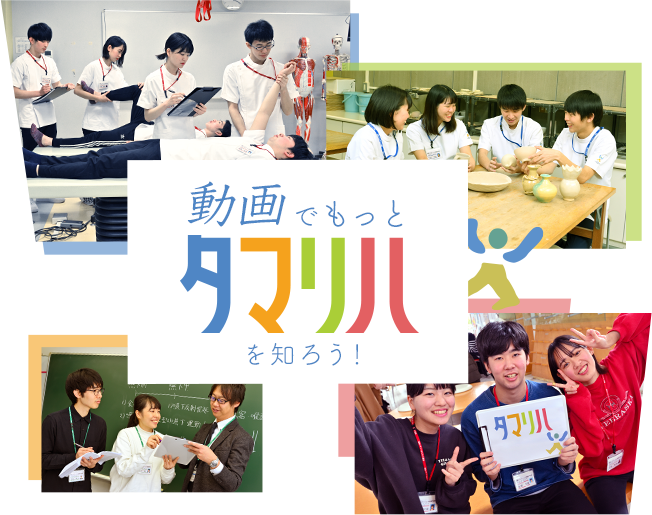 動画でもっとタマリハを知ろう! 動画でもっとタマリハを知ろう!