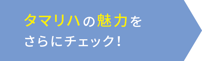 タマリハの魅力をさらにチェック！