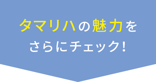 タマリハの魅力をさらにチェック！